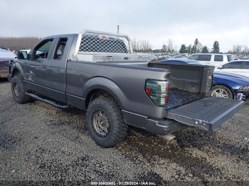 2013 FORD F-150 STX - 1FTFX1EF3DFB53659