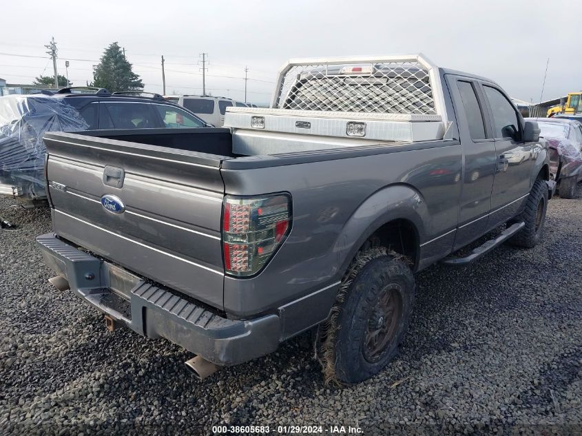 2013 FORD F-150 STX - 1FTFX1EF3DFB53659