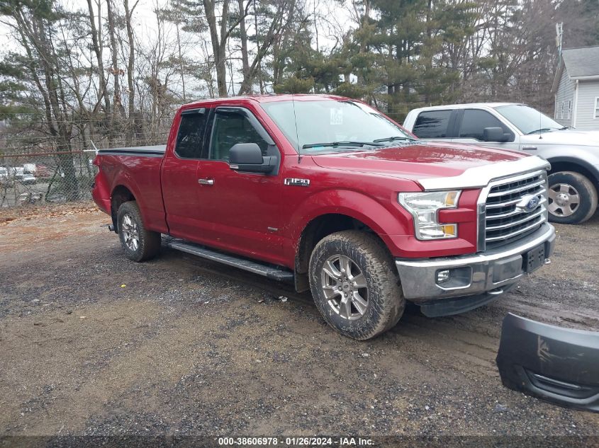 2015 FORD F-150 XLT - 1FTEX1EP4FFB89061