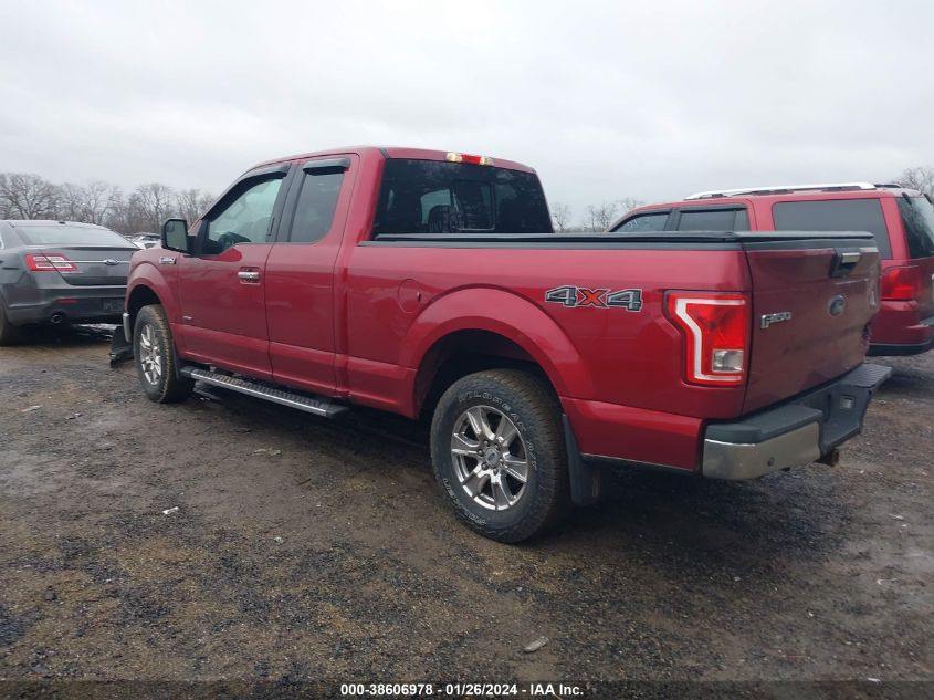 2015 FORD F-150 XLT - 1FTEX1EP4FFB89061
