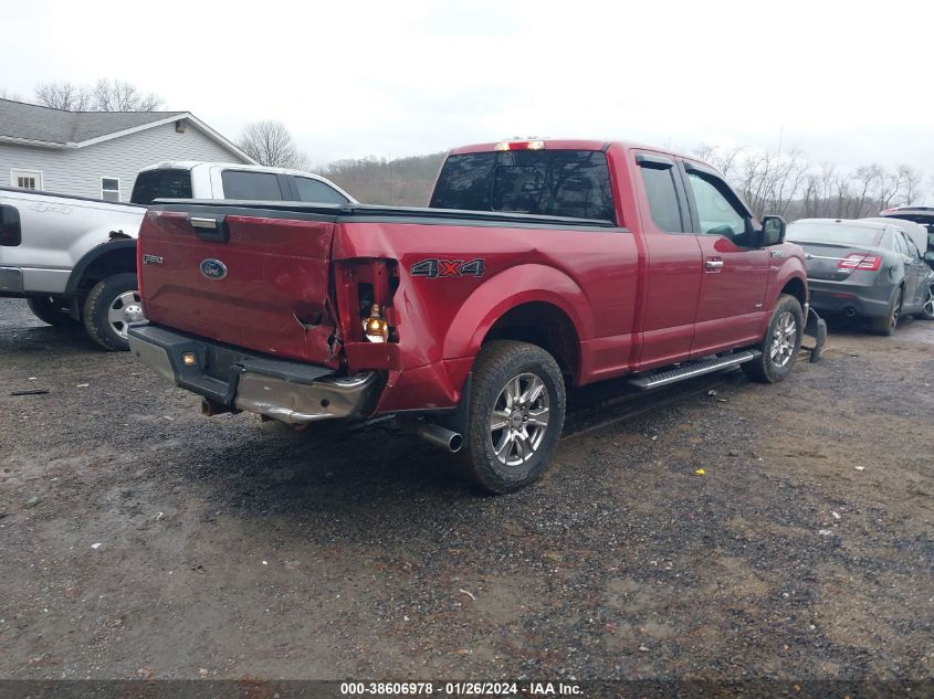 2015 FORD F-150 XLT - 1FTEX1EP4FFB89061