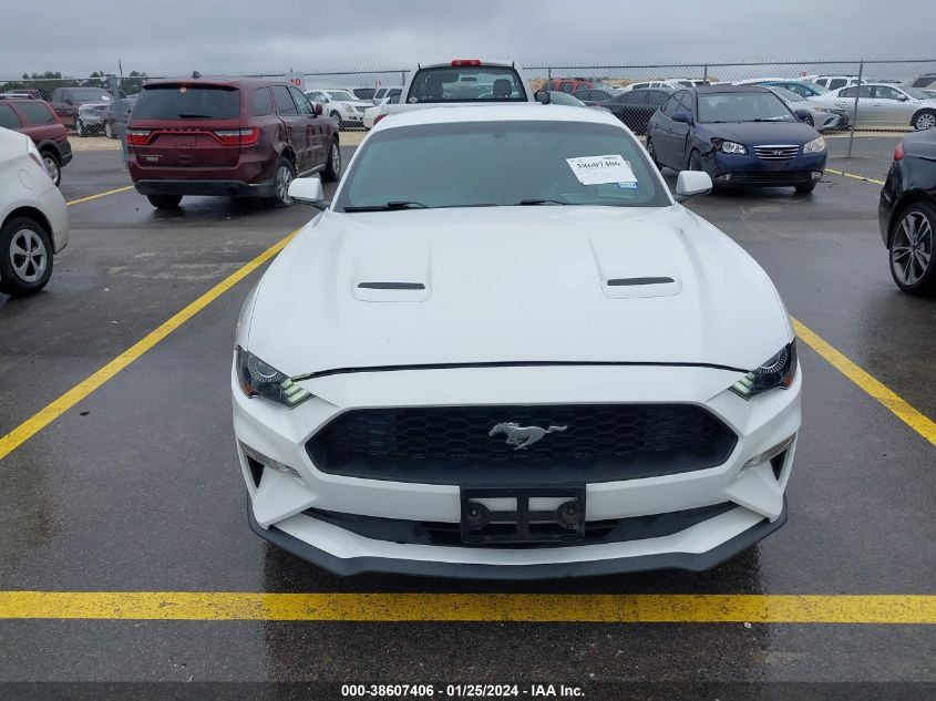 2019 FORD MUSTANG - 1FA6P8TH7K5134053