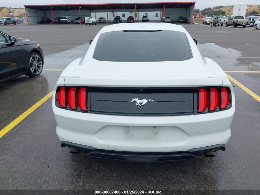 2019 FORD MUSTANG - 1FA6P8TH7K5134053