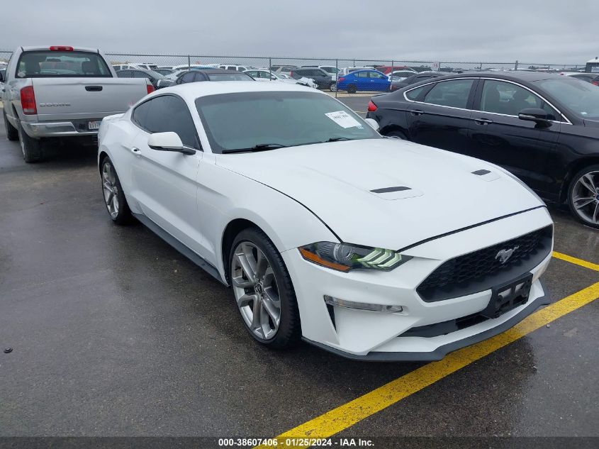 2019 FORD MUSTANG - 1FA6P8TH7K5134053