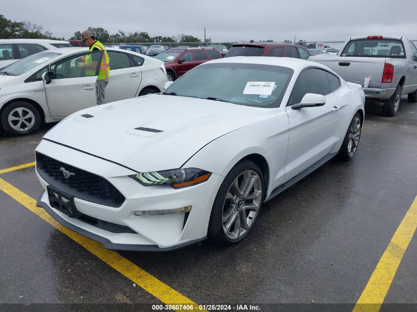 2019 FORD MUSTANG - 1FA6P8TH7K5134053