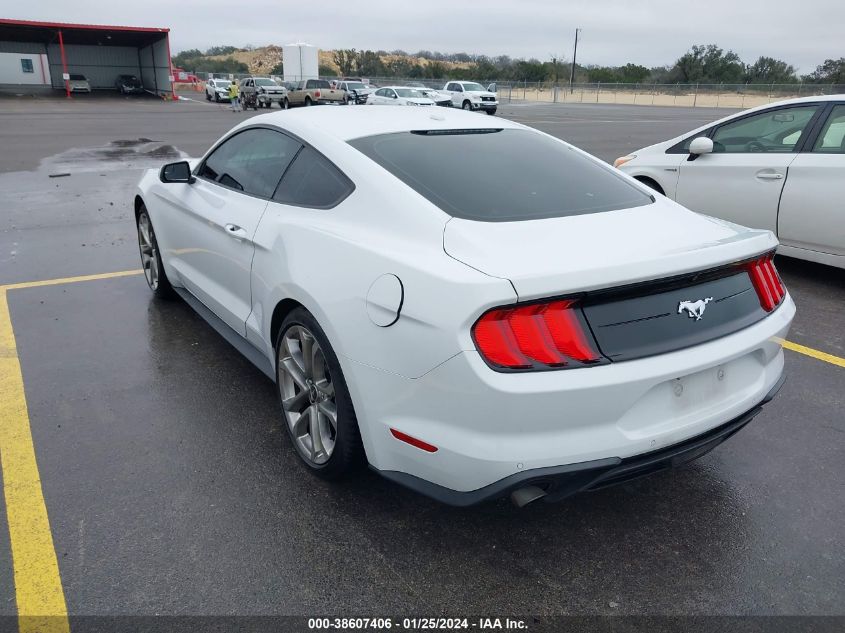 2019 FORD MUSTANG - 1FA6P8TH7K5134053