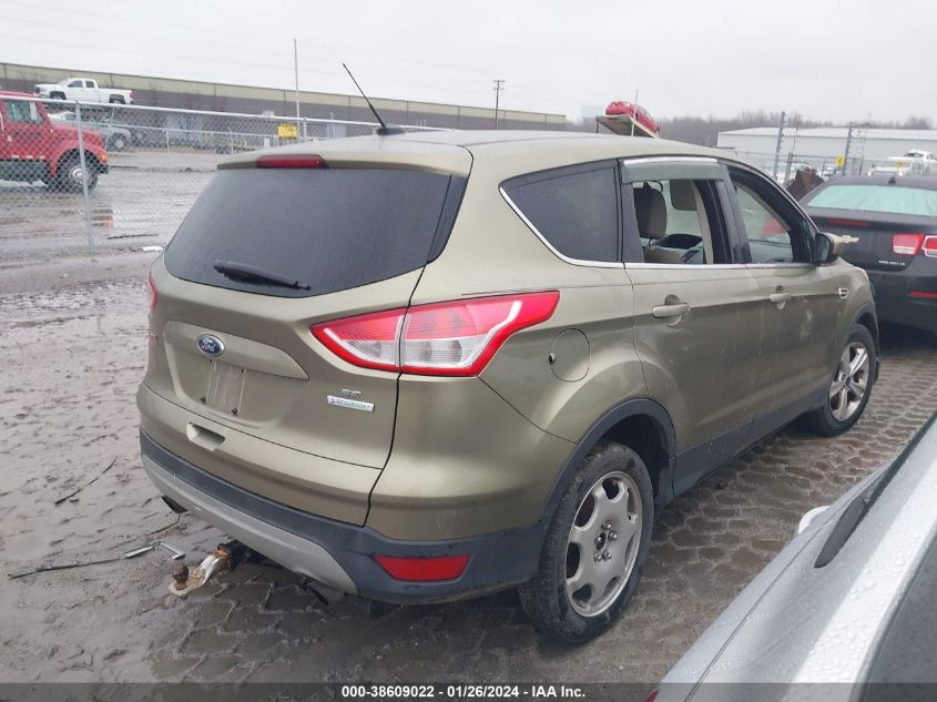 2013 FORD ESCAPE SE - 1FMCU0GX8DUD50748