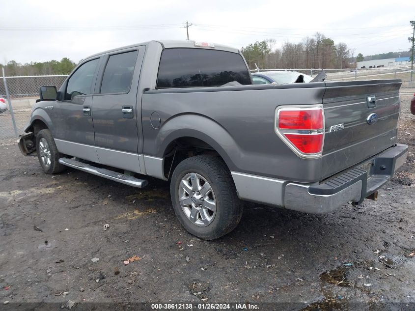 2013 FORD F-150 XLT - 1FTFW1CF8DFB57289