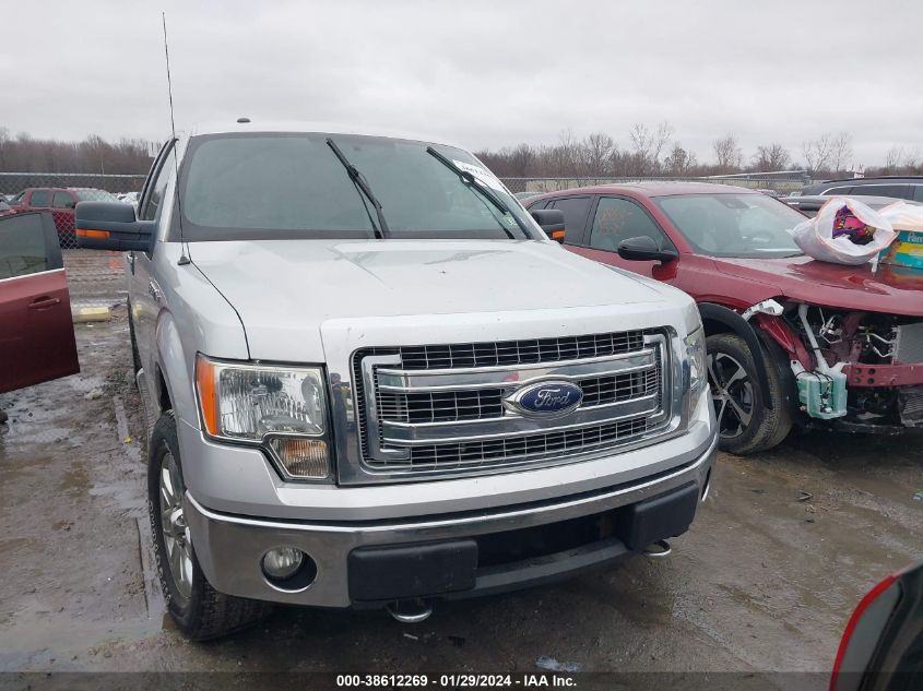 2013 FORD F-150 XLT - 1FTFX1EF6DFA72848