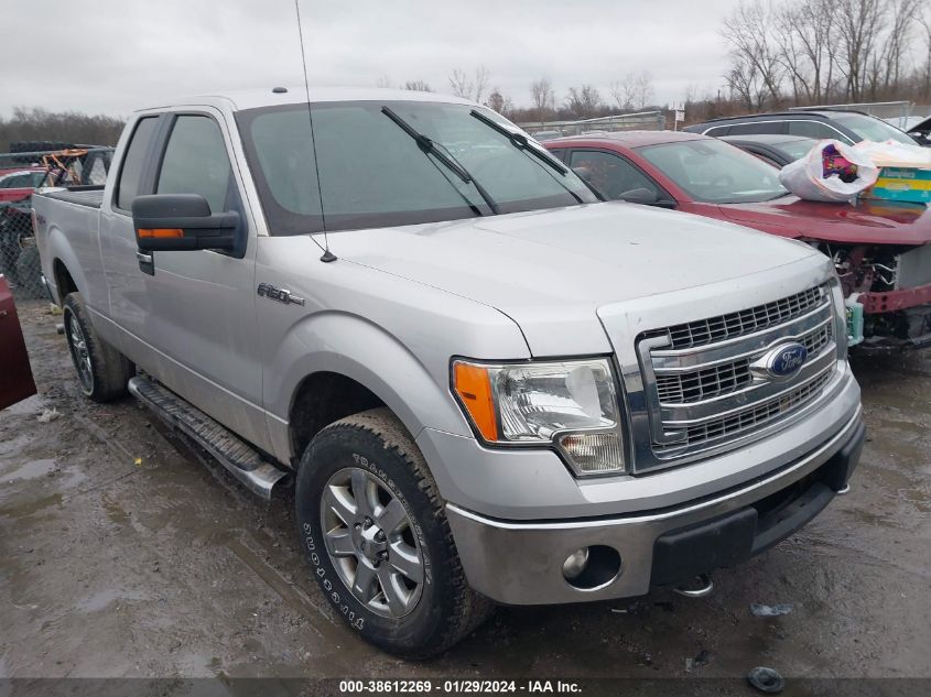 2013 FORD F-150 XLT - 1FTFX1EF6DFA72848