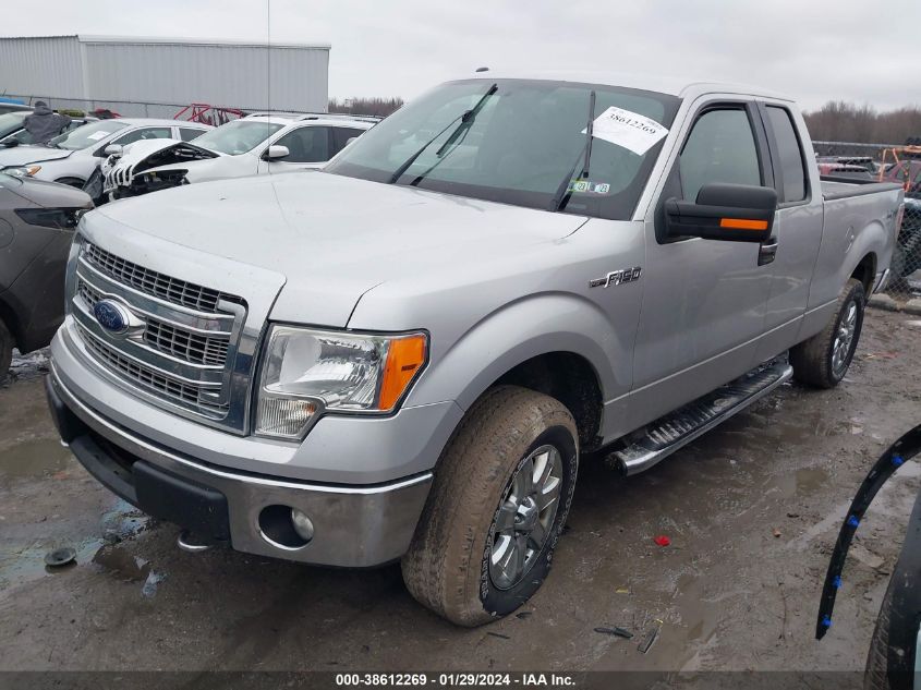 2013 FORD F-150 XLT - 1FTFX1EF6DFA72848