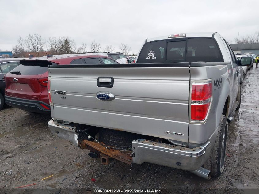 2013 FORD F-150 XLT - 1FTFX1EF6DFA72848