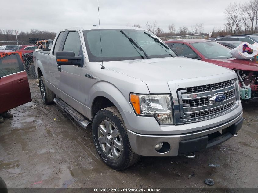 2013 FORD F-150 XLT - 1FTFX1EF6DFA72848