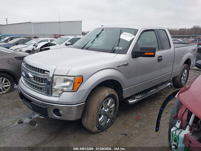 2013 FORD F-150 XLT - 1FTFX1EF6DFA72848