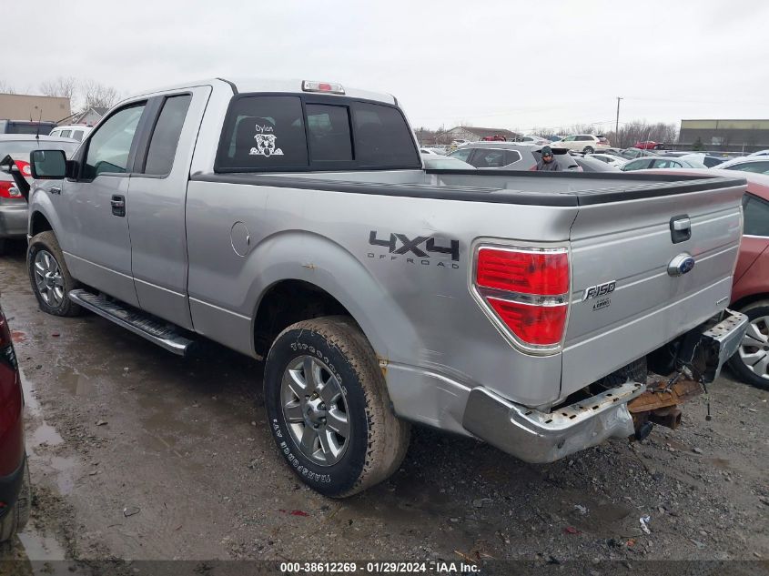 2013 FORD F-150 XLT - 1FTFX1EF6DFA72848