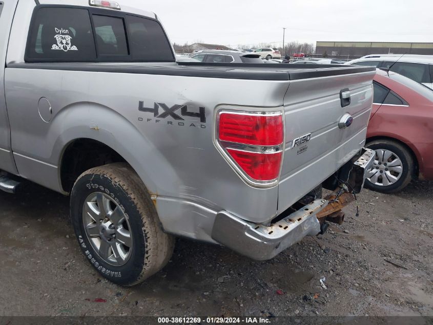 2013 FORD F-150 XLT - 1FTFX1EF6DFA72848