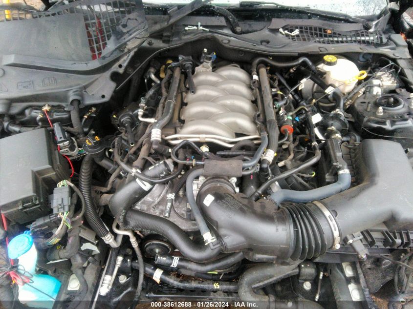 2020 FORD MUSTANG GT - 1FA6P8CF7L5159373