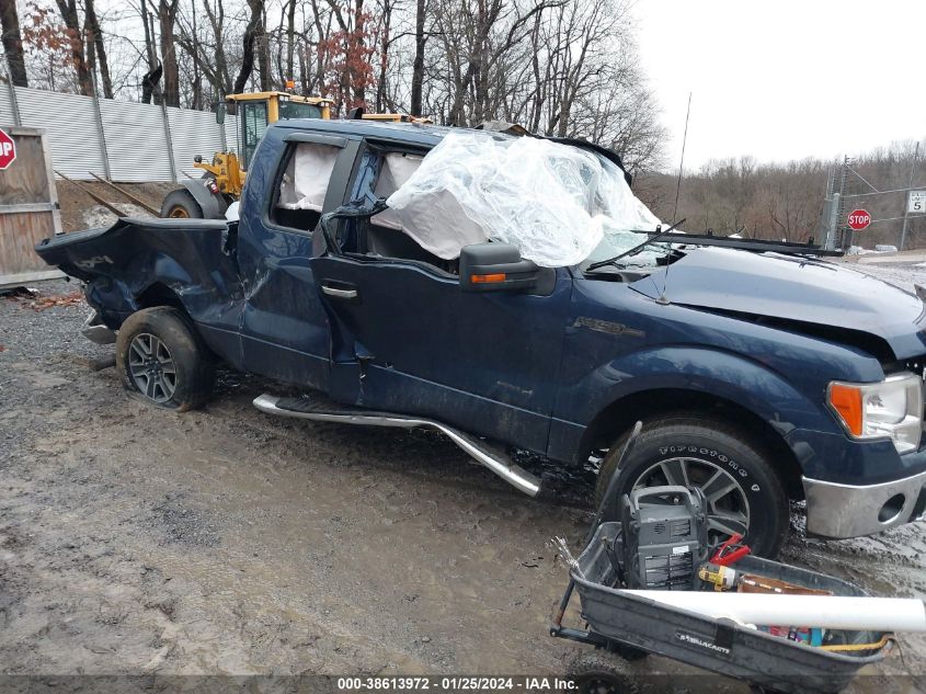 2014 FORD F-150 XLT - 1FTFX1ET8EFA60353