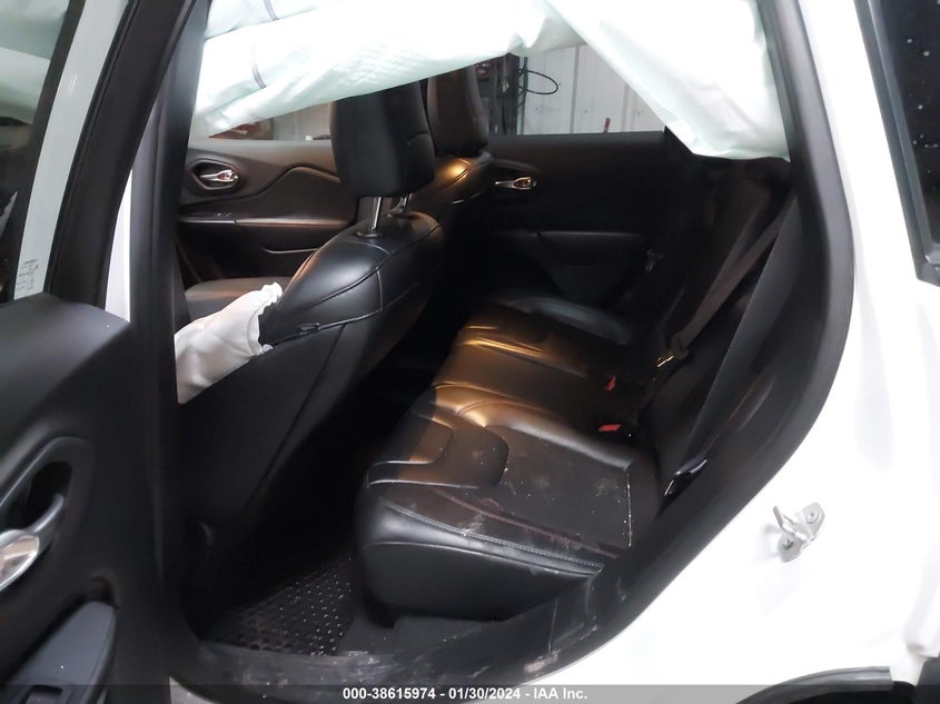 VIN 1C4PJMBX6KD469392 2019 JEEP CHEROKEE TRAILHAWK 4X4