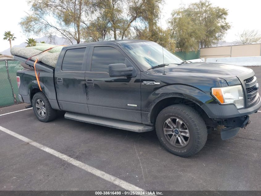 2013 FORD F-150 XL - 1FTFW1CT9DKD55232