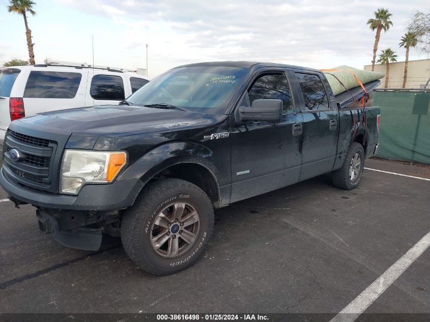 2013 FORD F-150 XL - 1FTFW1CT9DKD55232