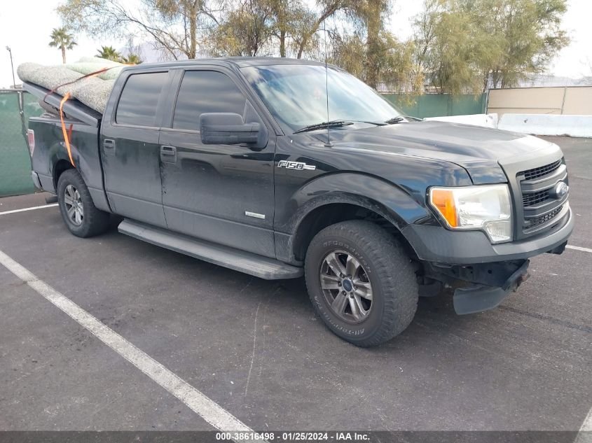 2013 FORD F-150 XL - 1FTFW1CT9DKD55232