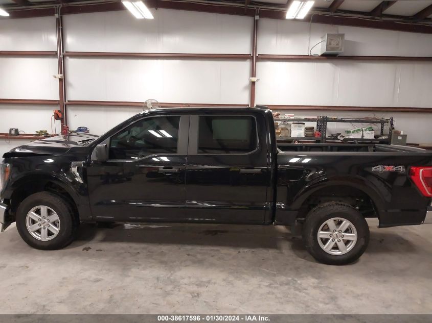 2023 FORD F-150 LARIAT/XL/XLT - 1FTEW1EP8PKD89369