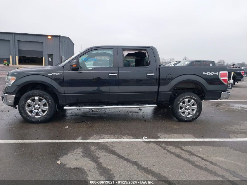 2014 FORD F-150 XLT - 1FTFW1EF3EKF71778