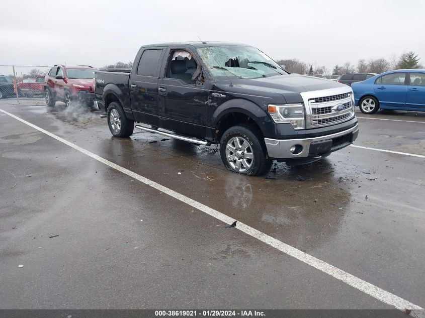 2014 FORD F-150 XLT - 1FTFW1EF3EKF71778