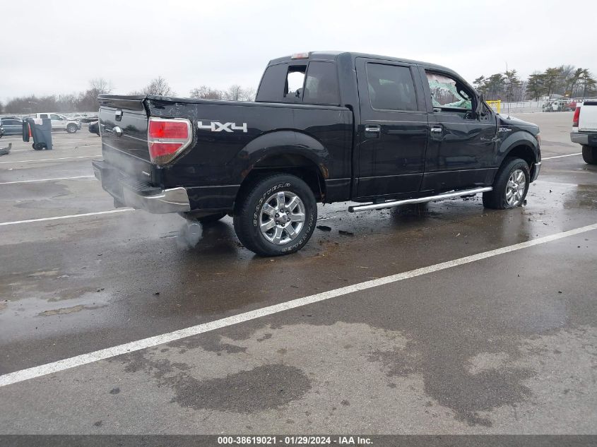 2014 FORD F-150 XLT - 1FTFW1EF3EKF71778
