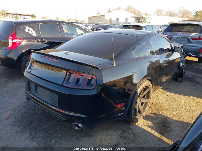 2013 FORD MUSTANG GT PREMIUM - 1ZVBP8CF9D5251589