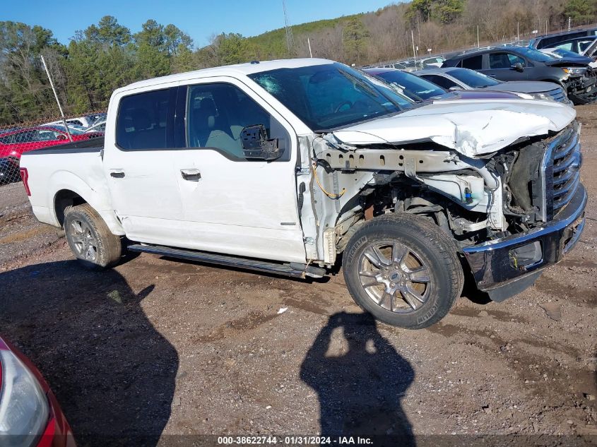 2015 FORD F-150 XLT - 1FTEW1CP5FFC45689