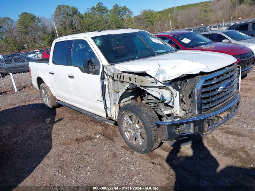 2015 FORD F-150 XLT - 1FTEW1CP5FFC45689