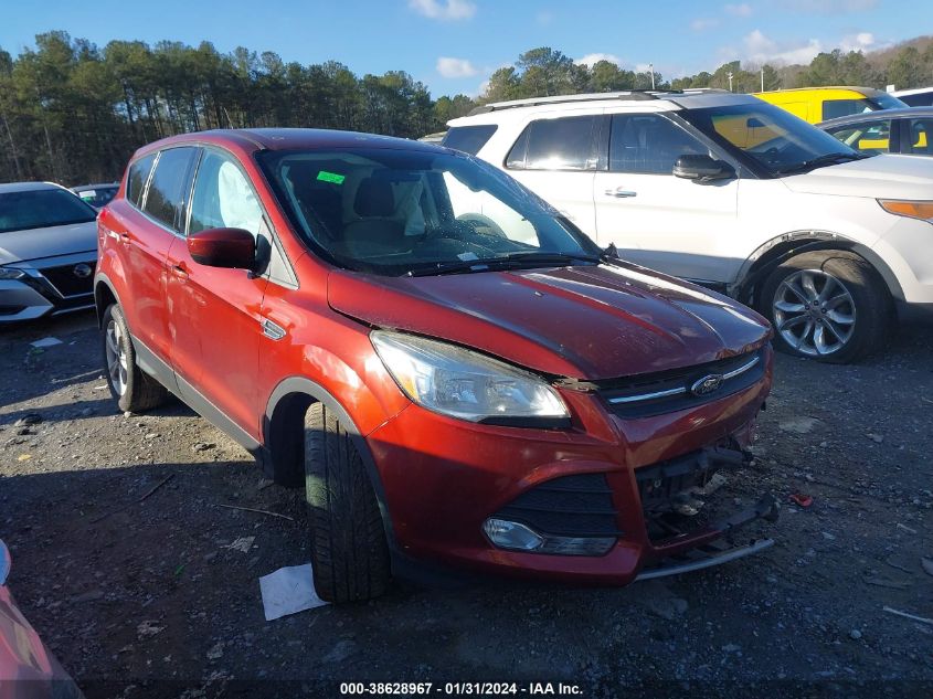 2014 FORD ESCAPE SE - 1FMCU0GX5EUD86429