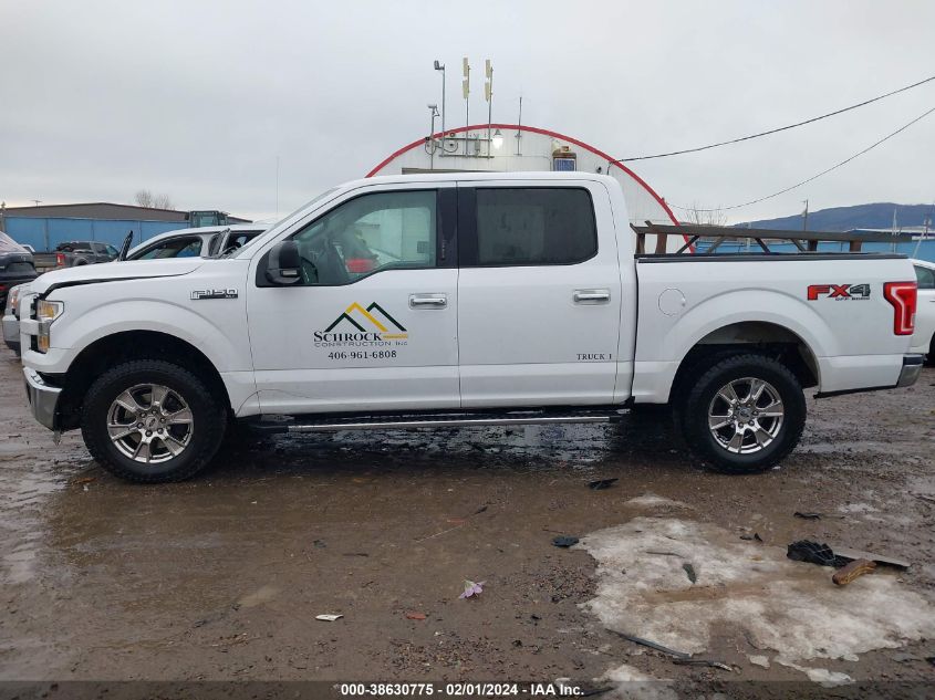 2015 FORD F150 SUPERCREW - 1FTEW1EF0FKE43561
