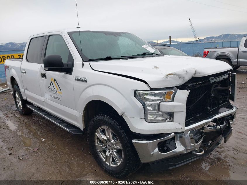 2015 FORD F150 SUPERCREW - 1FTEW1EF0FKE43561
