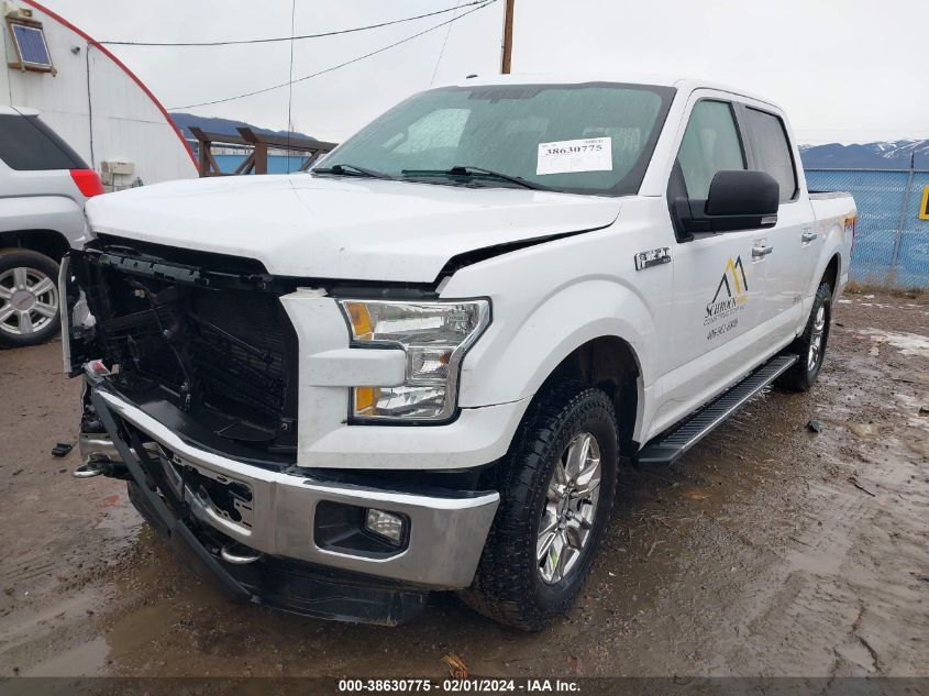 2015 FORD F150 SUPERCREW - 1FTEW1EF0FKE43561