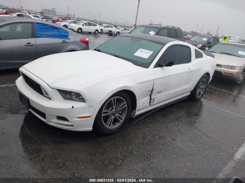 2013 FORD MUSTANG V6 - 1ZVBP8AMXD5279774