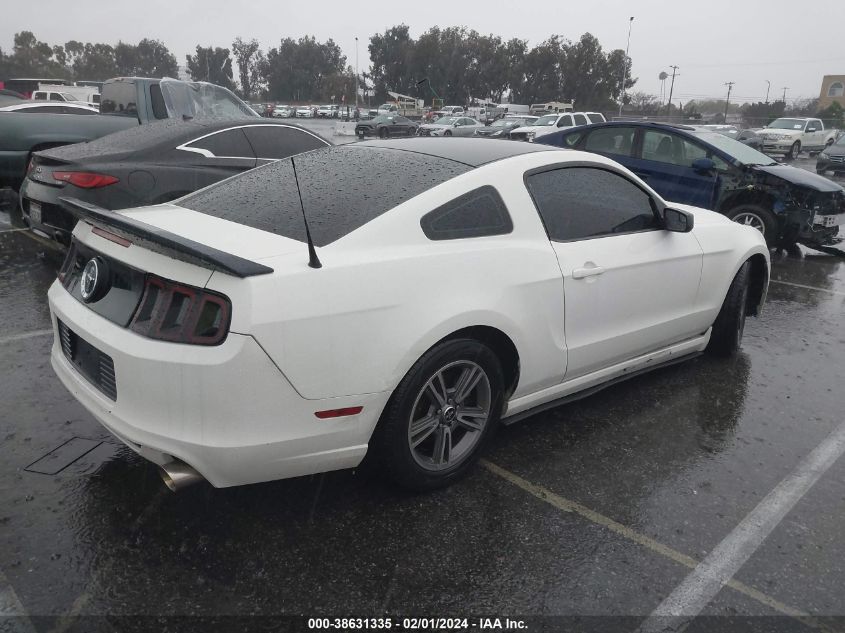 2013 FORD MUSTANG V6 - 1ZVBP8AMXD5279774