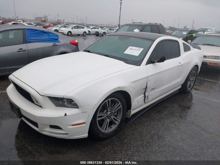 2013 FORD MUSTANG V6 - 1ZVBP8AMXD5279774