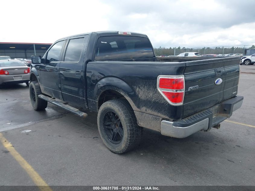 2013 FORD F-150 XLT - 1FTFW1EF3DFD13302