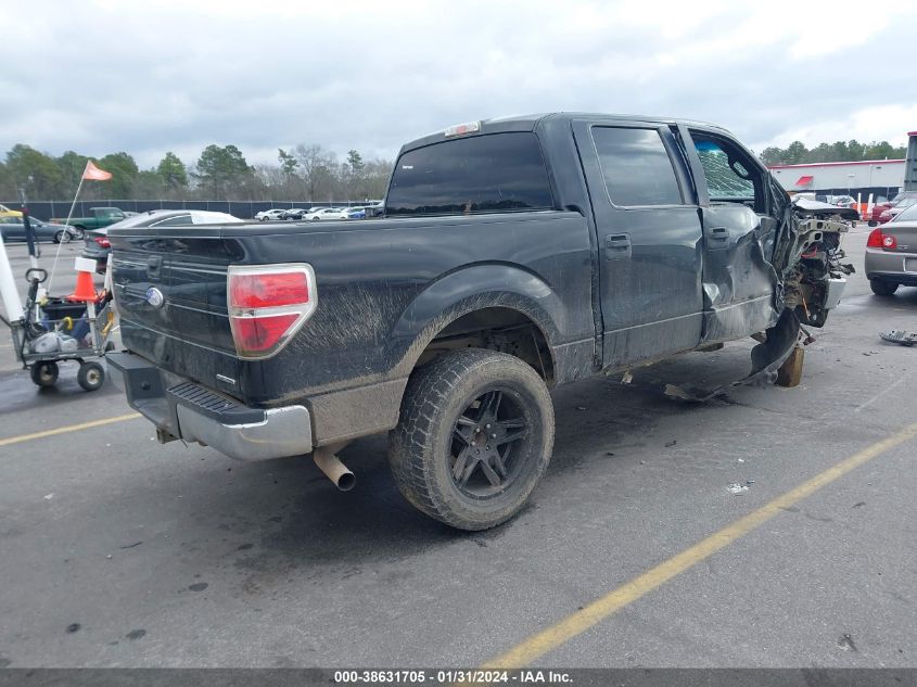 2013 FORD F-150 XLT - 1FTFW1EF3DFD13302