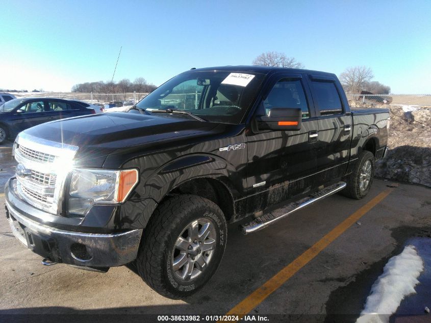 2013 FORD F-150 XLT - 1FTFW1ET1DFD87792