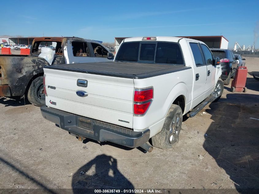 2013 FORD F-150 XLT - 1FTFW1CF3DKD23984