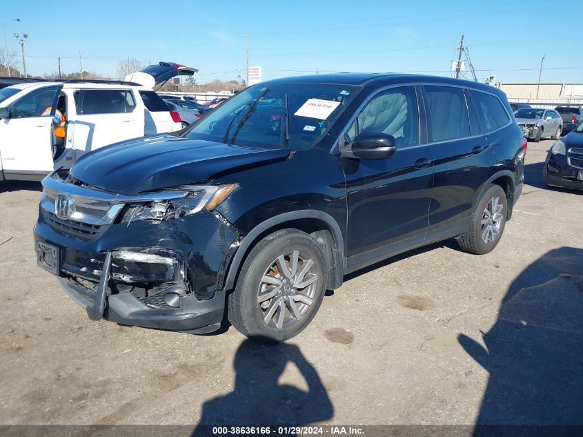 2019 HONDA PILOT EX-L - 5FNYF5H55KB023132