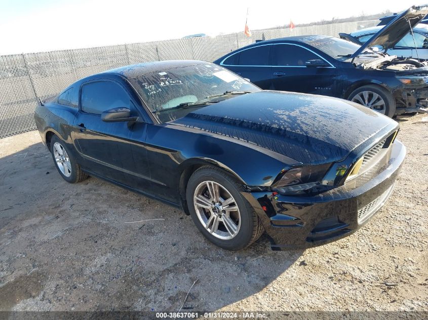 2013 FORD MUSTANG - 1ZVBP8AM9D5276865