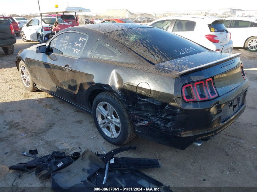 2013 FORD MUSTANG - 1ZVBP8AM9D5276865