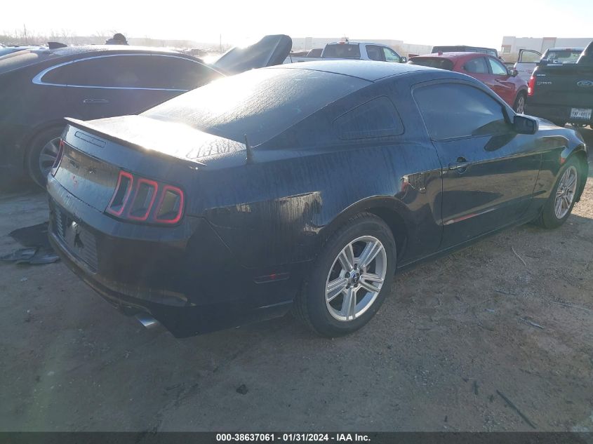 2013 FORD MUSTANG - 1ZVBP8AM9D5276865