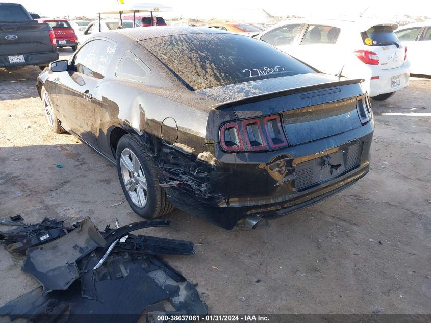 2013 FORD MUSTANG - 1ZVBP8AM9D5276865