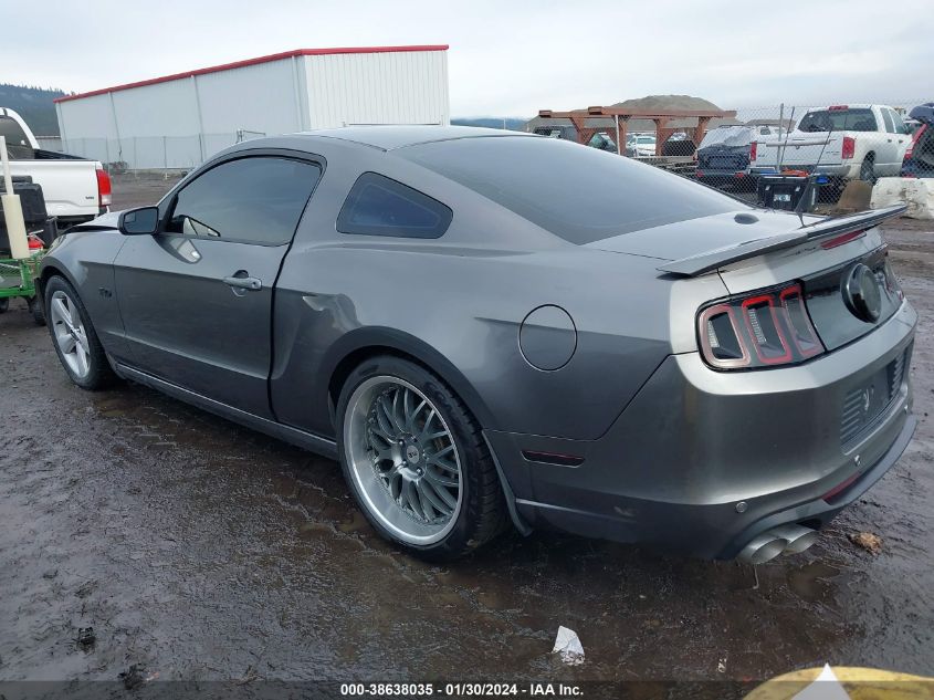 2014 FORD MUSTANG GT - 1ZVBP8CF7E5206362